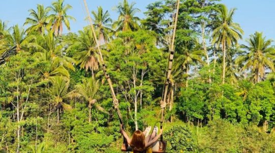 Du lịch Bali 4N3Đ hè 2025: Khám phá thiên đường nghỉ dưỡng - Đảo rùa Nusa Penia  từ Hồ Chí Minh