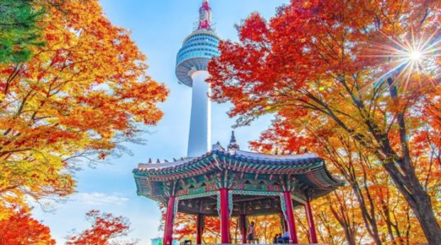 Du lịch Hàn Quốc 5N5Đ: Seoul - Nami - Everland giá tốt từ Hồ Chí Minh