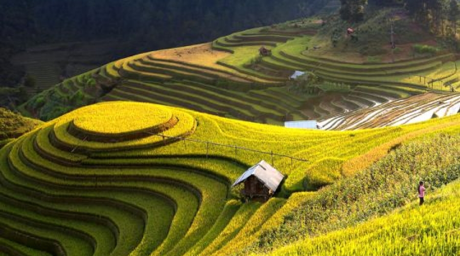 Du lịch Tây Bắc: Hà Nội - Sapa - Bái Đính - Tràng An - Hạ Long